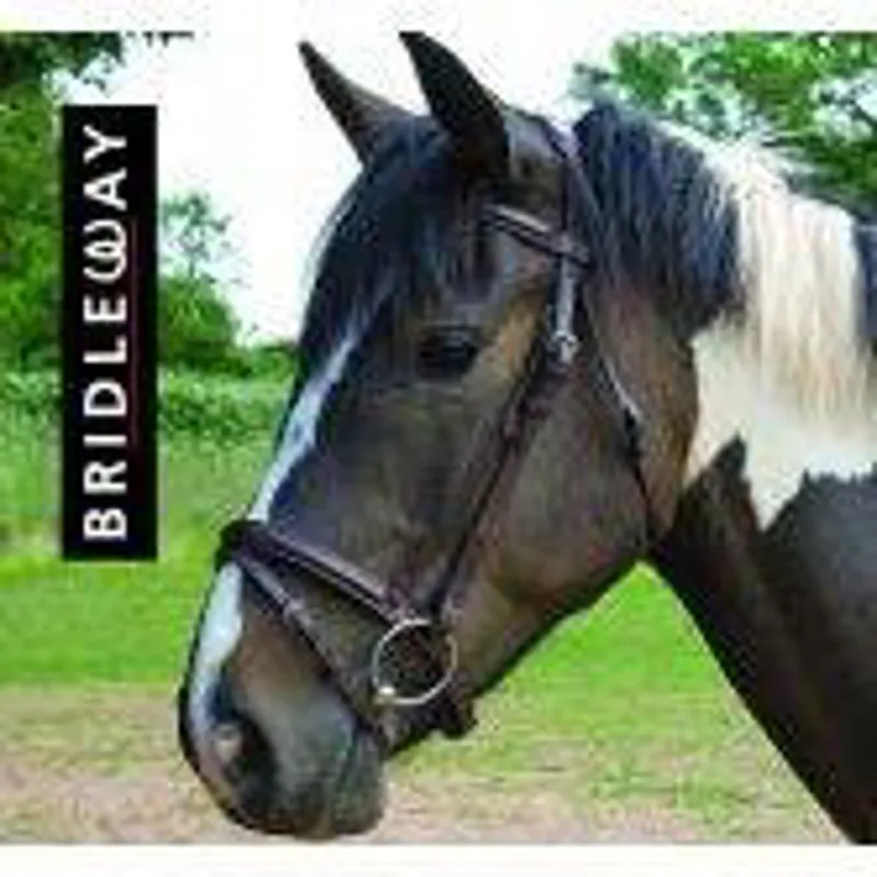 Bridleway Padded Bridle